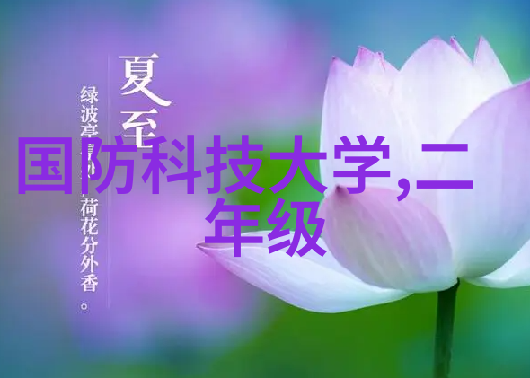 探寻跨境电商加速跑背后密码